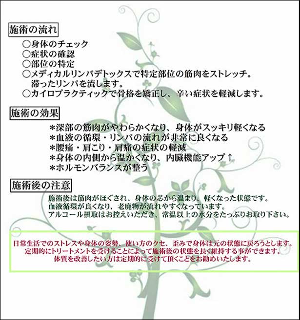 カイロ(カイロマ)の施術の流れ